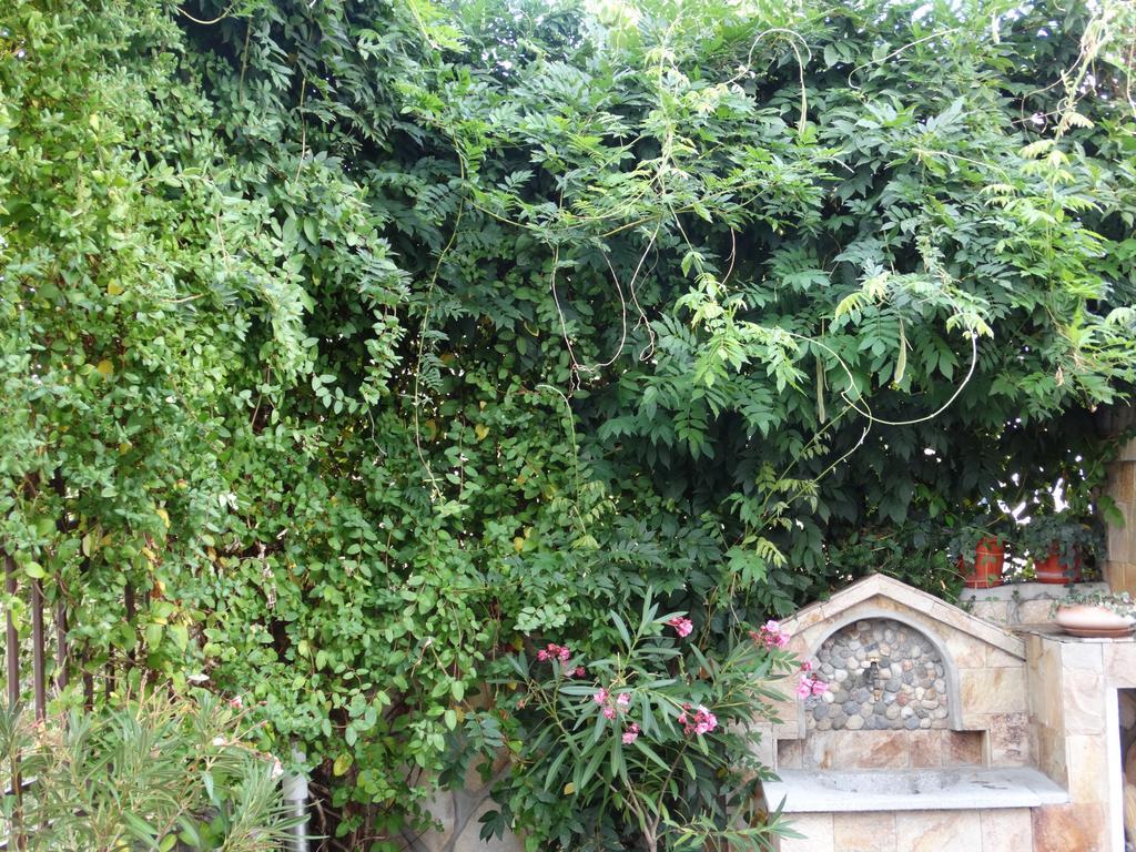Guest House Ivel 萨帕雷瓦巴尼亚 外观 照片